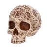 Apothecary Skulls New Arrivals