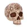 Apothecary Skulls New Arrivals