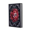Skull Embrace Journal (AS) 17cm Dragons New Arrivals