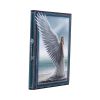 Spirit Guide Journal (AS) 17cm Angels New Arrivals