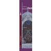 Elden Ring Academy of Raya Lucaria Collector’s Edition Box - 8