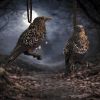 Last Omen Hanging Ornament Ravens New Arrivals