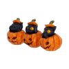 Three Wise Pumpkin Patch Cats Spooky Season