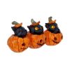 Three Wise Pumpkin Patch Cats Spooky Season
