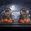 Pumpkin Patch Snow Globe Cats Spooky Season