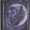 Malpuss Journal 17cm Cats New Arrivals