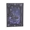 Purrah Journal 17cm Cats New Arrivals