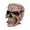 Hall of Horrors: The Monster of Madness Skulls Spooky Season