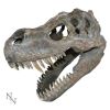 Tyrannosaurus Rex Skull Small 39.5cm B/strap - 0