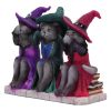 Three Wise Witchy Kittys 15.3cm Cats Sale Items