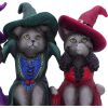 Three Wise Witchy Kittys 15.3cm Cats Sale Items