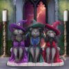 Three Wise Witchy Kittys 15.3cm Cats Sale Items