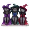 Three Wise Witchy Kittys 15.3cm Cats Sale Items