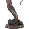 Medusa's Wrath (Medium) 15.5cm Mythology Mythology