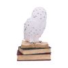 Library of Wisdom 17cm Owls Coming Soon Products