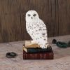 Library of Wisdom 17cm Owls Coming Soon Products