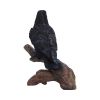 Ravens Perch 20cm Ravens Out Of Stock