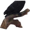 Ravens Perch 20cm Ravens Out Of Stock