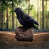 Ravens Cry 18cm Ravens Every Day Is Halloween