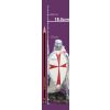 Knight Templar - 7