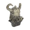 Odin Bust 21.5cm History and Mythology Gifts Under £100