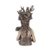 Gaia Bust 26cm Mythology Mythology