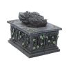 Dragon Tarot Card Box 18cm Dragons Easter