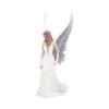 Spirit Guide (AS) 24cm Angels Top 200 None Licensed