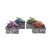 Dragon Safehold 8.4cm (Set of4) Dragons Stock Arrivals