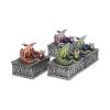 Dragon Safehold 8.4cm (Set of4) Dragons Stock Arrivals
