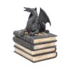 Secrets Of The Dragon 19cm Dragons Stock Arrivals