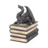 Secrets Of The Dragon 19cm Dragons Stock Arrivals