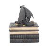 Secrets Of The Dragon 19cm Dragons Stock Arrivals