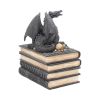 Secrets Of The Dragon 19cm Dragons Stock Arrivals