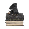 Secrets Of The Dragon 19cm Dragons Stock Arrivals