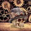 The Aristocrat 18.5cm Skulls Gifts Under £100