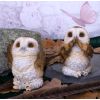 Three Wise Brown Owls 7.5cm - 2