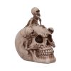 Breaking Free 17.7cm Skulls Halloween RRP Below 20