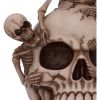 Breaking Free 17.7cm Skulls Halloween RRP Below 20