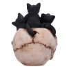 Cranial Litter 14cm Cats Halloween Highlights