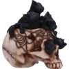 Cranial Litter 14cm Cats Halloween Highlights
