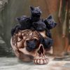 Cranial Litter 14cm Cats Halloween Highlights