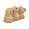 Three Wise Golden Labradors 7.5cm Dogs NEMESIS NOW | EASTER SALE