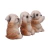Three Wise Bulldogs 7.5cm Dogs Last Chance to Buy