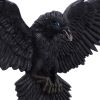 Flight of the Raven 35cm Ravens Gifts Under £100
