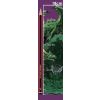 Emerald Overseer 18cm - 1