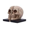 Final Chapter Bookends 15cm Skulls Gifts Under £100