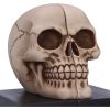 Final Chapter Bookends 15cm Skulls Gifts Under £100