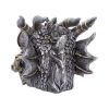Masked Sentinel Dragons New Arrivals