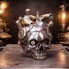 Cardiac Cranium (Silver) Skulls Gifts Under £100